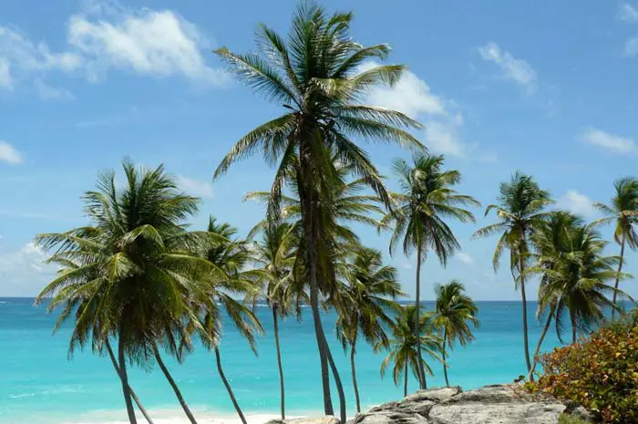 Kitereisen Barbados Karibik
