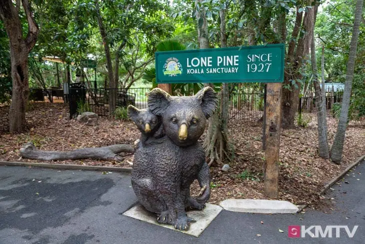 Koala Sanctuary - Brisbane Kitereisen & Kitesurfen