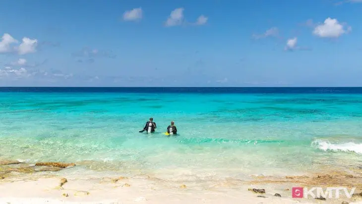 Tauchen - Bonaire Kitereisen & Kitesurfen