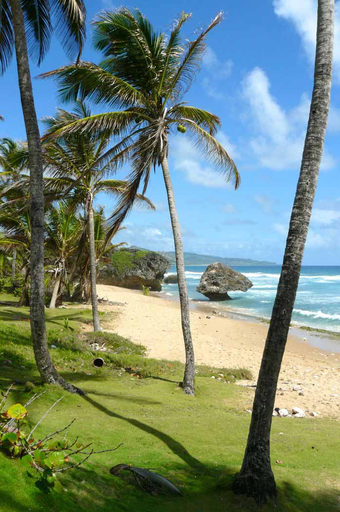 Kitereisen Barbados Karibik