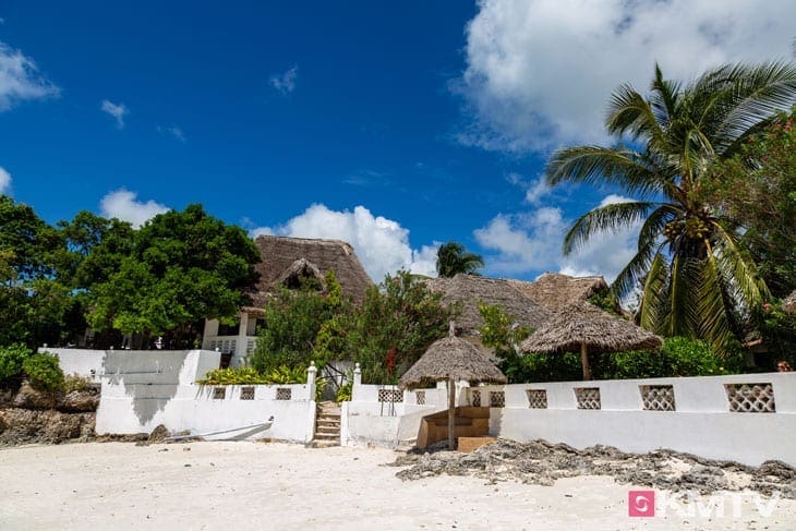 Red Monkey Lodge – Sansibar Kitereisen und Kitesurfen Red Monkey Lodge - Sansibar Kitereisen und Kitesurfen