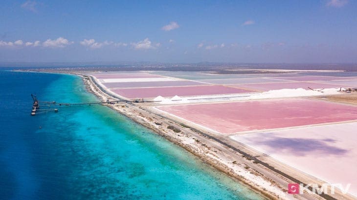 Salinen - Bonaire Kitereisen & Kitesurfen